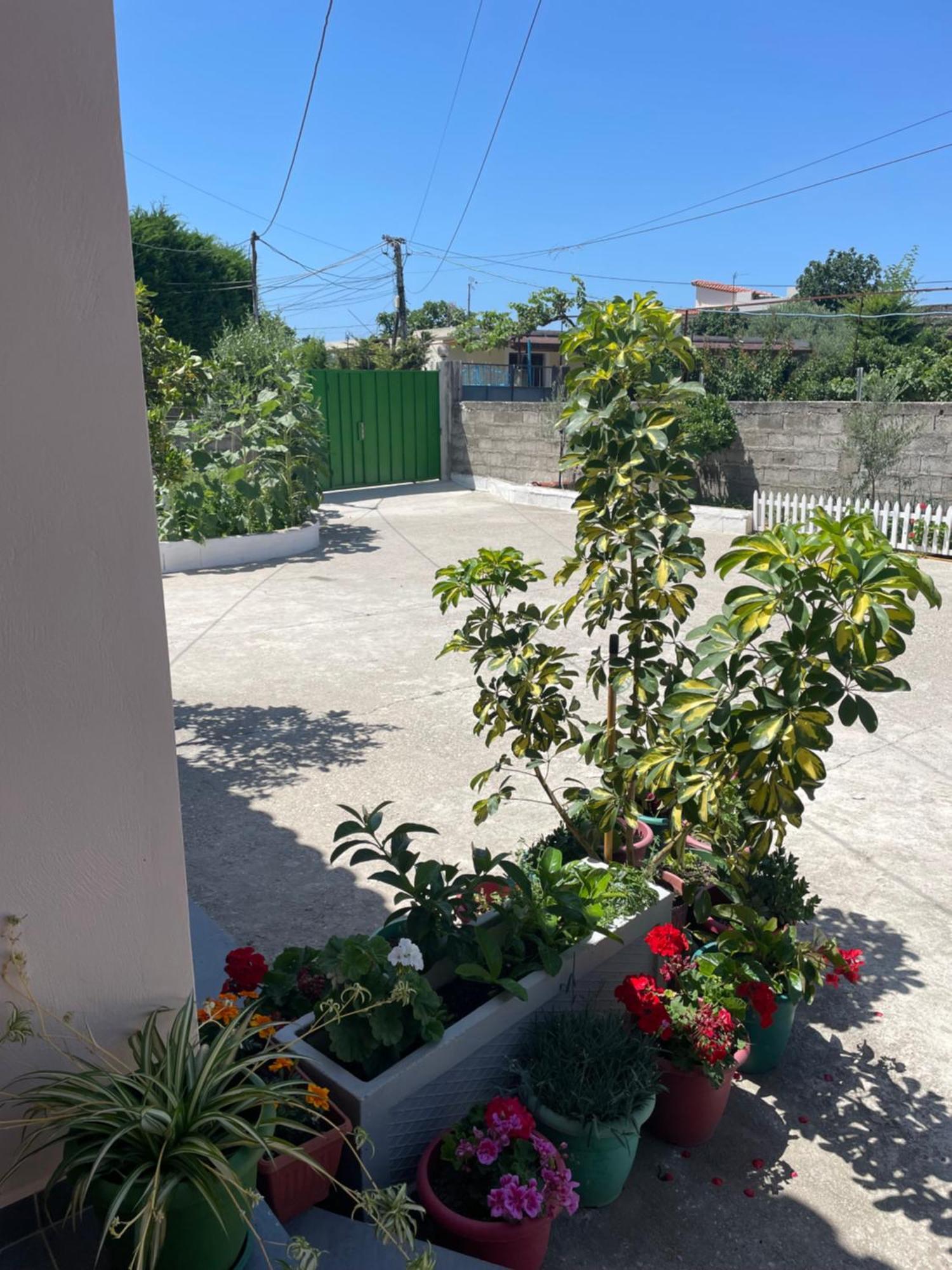Rental Houses Dukaj Vlore Exterior photo